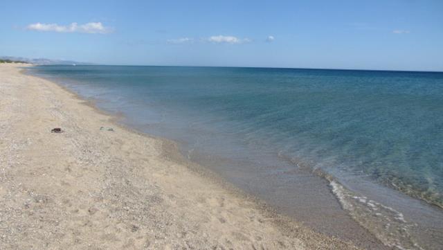THURIUM_HAPPY_09.JPG