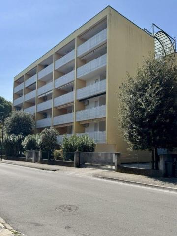 ATANTE_BIBIONE_03.JPG