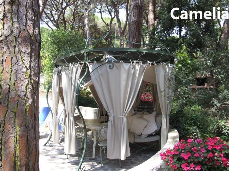 PINETA_CASTAGNETO_09.JPG
