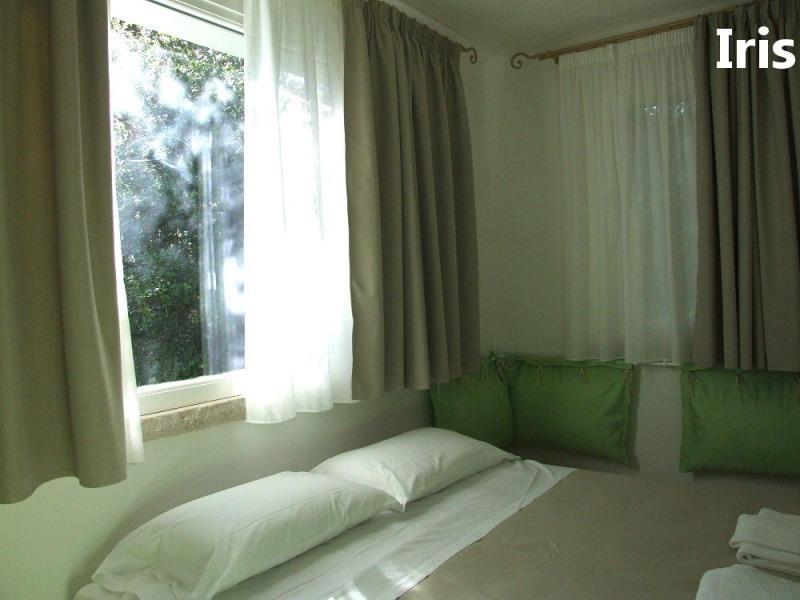 PINETA_CASTAGNETO_14.JPG