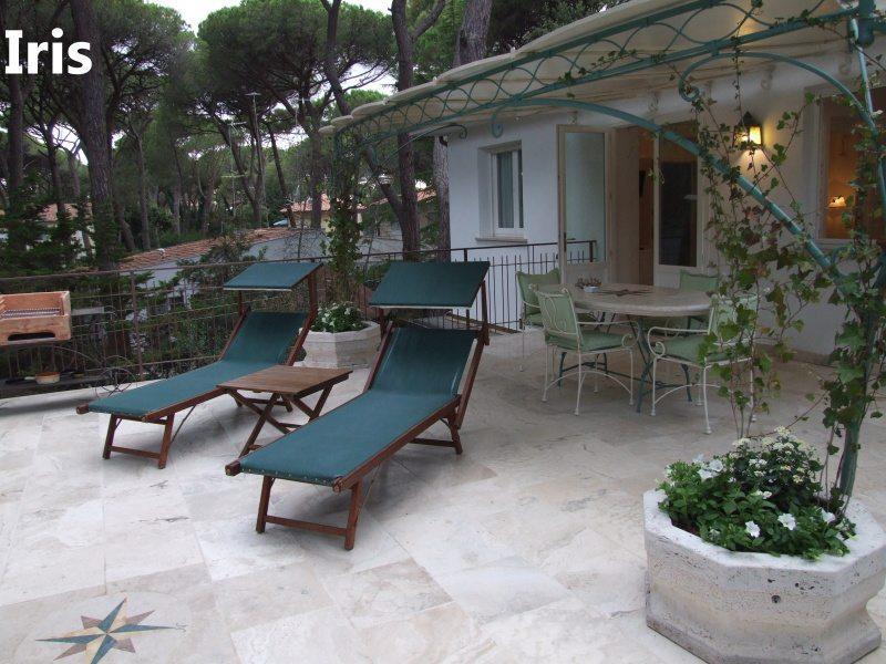PINETA_CASTAGNETO_18.JPG