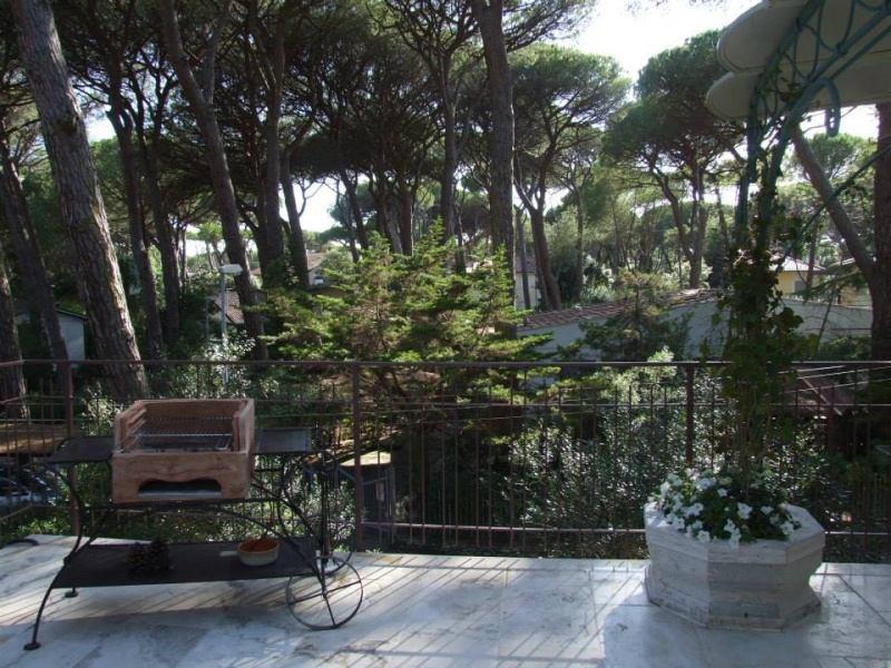 PINETA_CASTAGNETO_002.JPG