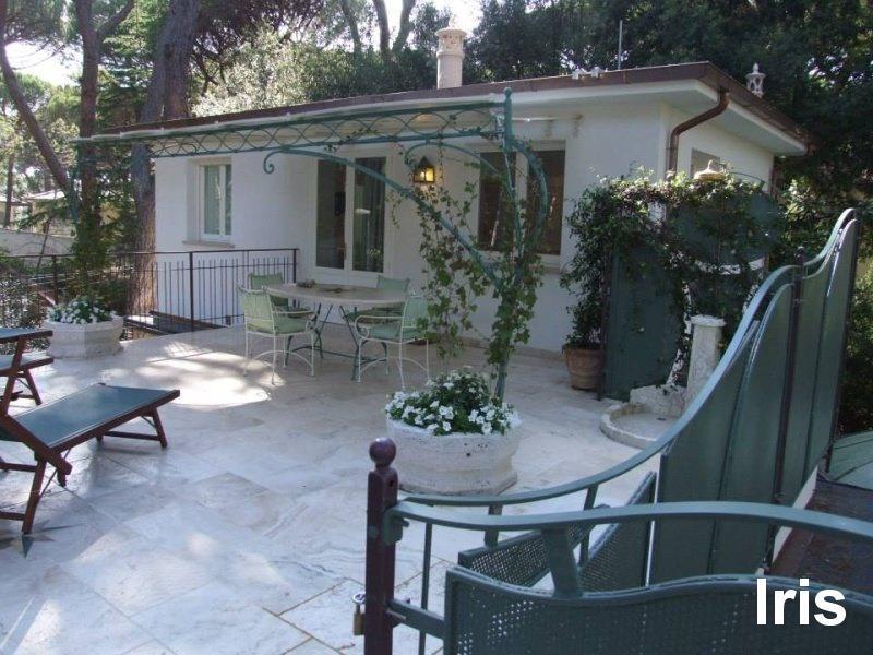 PINETA_CASTAGNETO_005.JPG