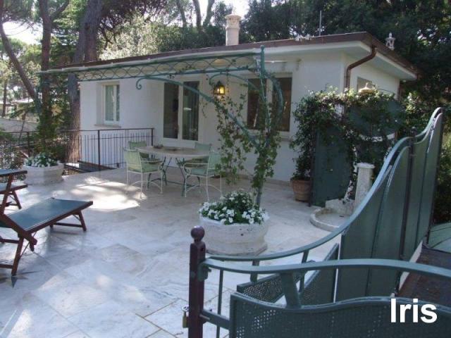 PINETA_CASTAGNETO_005.JPG