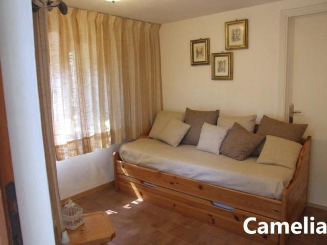 PINETA_CASTAGNETO_05.JPG