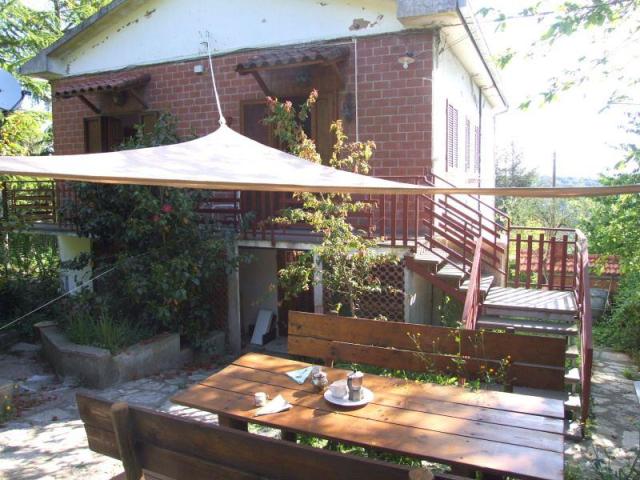 AGRIFOGLI_VAL CANINA_TOSKANSKO_01.JPG
