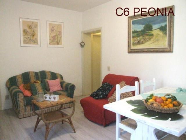 TOSCANA_AGRIFOGLI_PEONIA_17.JPG