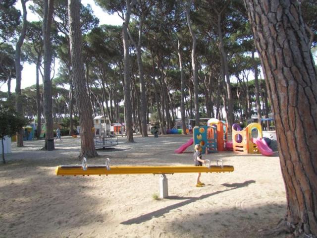 PARK_ALBATROS_HAPPY_11.JPG