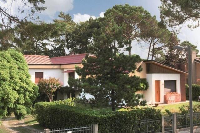 TRE_PINI_LIGNANO_01.JPG