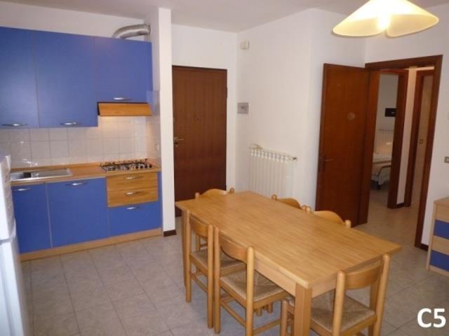 NUOVOSILE_CAVALLINO_20.JPG