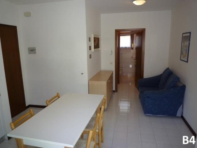 NUOVOSILE_CAVALLINO_06.JPG