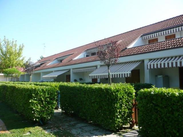 ACERI_BIBIONE_02.JPG