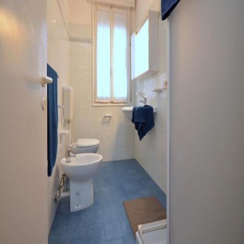 MARACAIBO_bibione_14