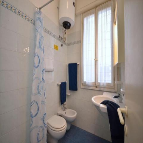 MARACAIBO_bibione_15