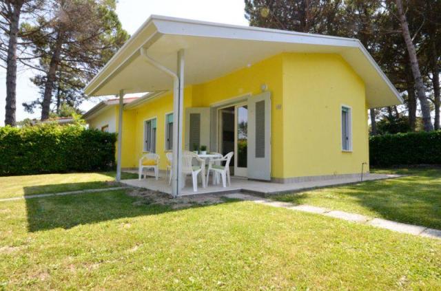 DOGI_SUD_BIBIONE_01.JPG