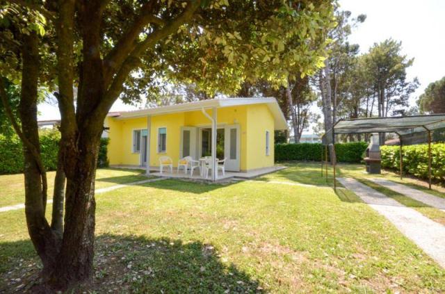 DOGI_SUD_BIBIONE_02.JPG