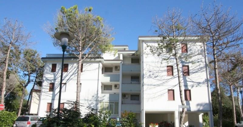 FIORDALISI_BIBIONE_02.JPG