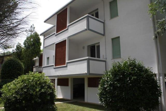 TUIA_BIBIONE_03.JPG