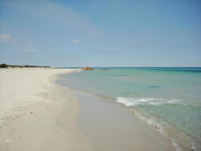 5LI15606_35