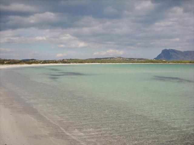 5LI15606_46