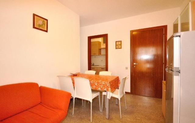 ZENITH_BIBIONE_05.JPG
