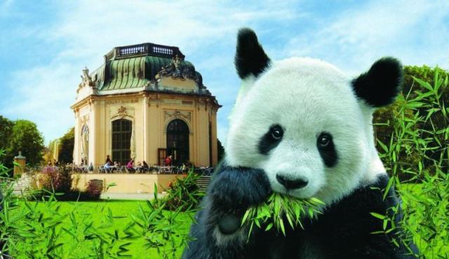 ZOO Viedeň, zámok Schönbrunn a jeho krásne záhrady