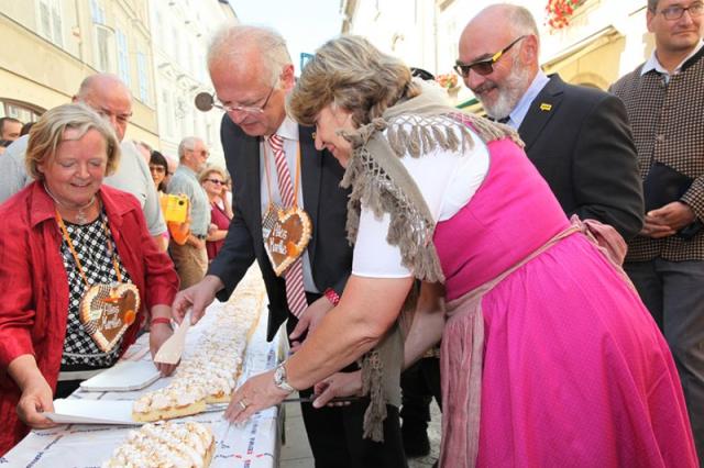 Marhuľové slávnosti a nádherné údolie Wachau