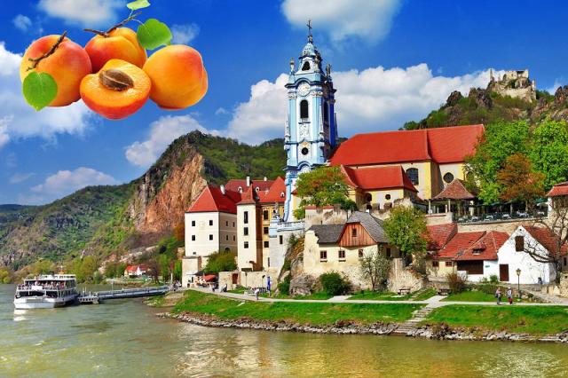 Marhuľové slávnosti a nádherné údolie Wachau