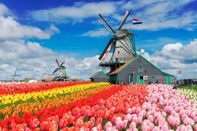 Holandsko - svetoznáma výstava kvetov Keukenhof a Amsterdam  LETECKY