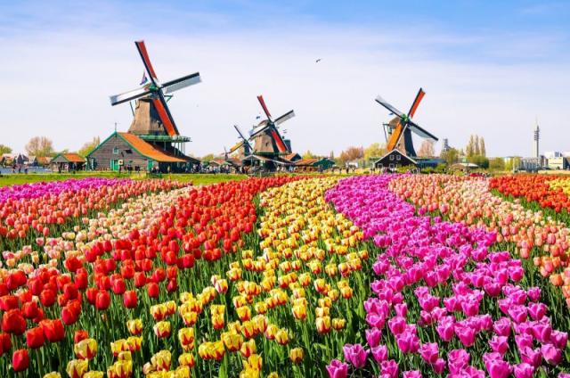 Holandsko - svetoznáma výstava kvetov Keukenhof a Amsterdam  LETECKY