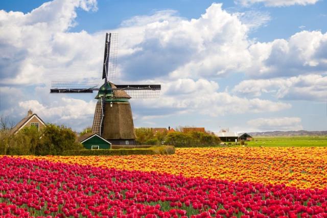 Holandsko - svetoznáma výstava kvetov Keukenhof a Amsterdam  LETECKY