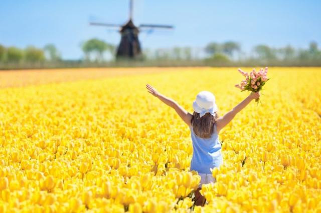 Holandsko - svetoznáma výstava kvetov Keukenhof a Amsterdam  LETECKY