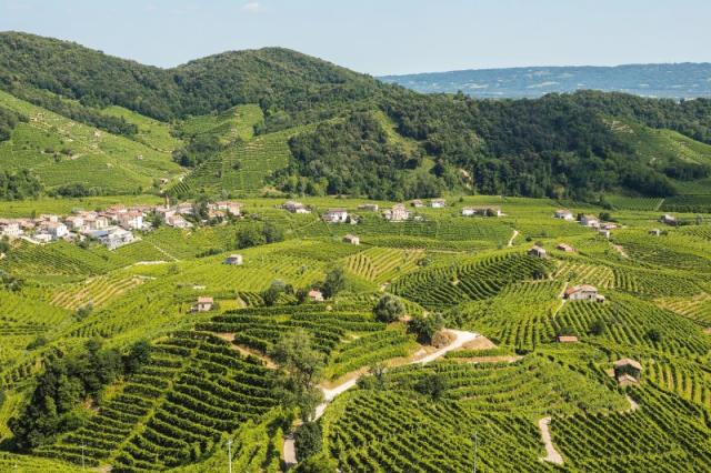 Valdobbiadene, rodisko Prosseca, Tiramisu v Trevise, šach v Marostice a romantika v Asole