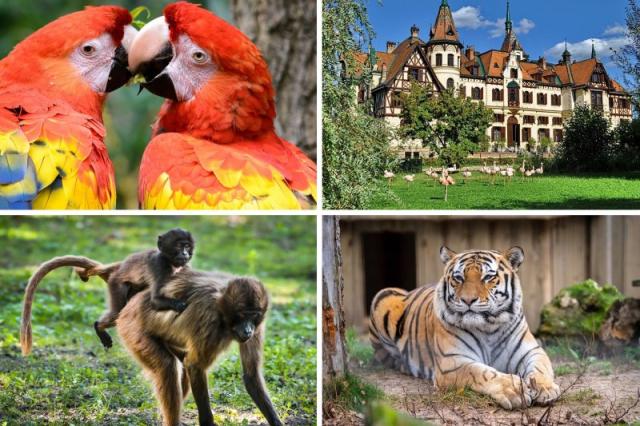 Nádherná ZOO Zlín a zámok Lešná