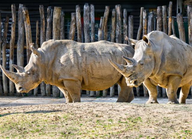 Nádherná ZOO Zlín a zámok Lešná