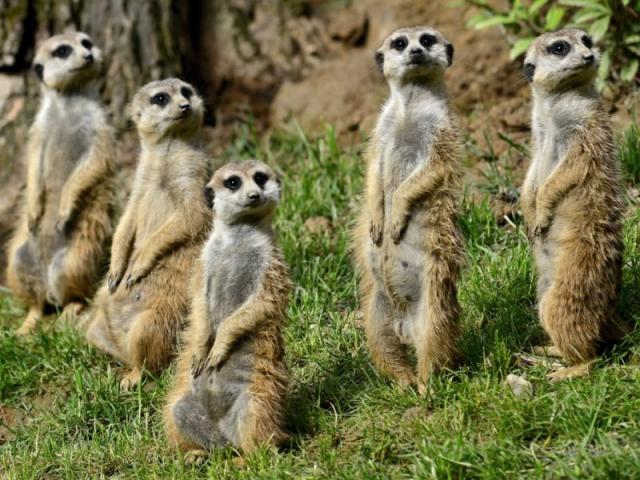 Nádherná ZOO Zlín a zámok Lešná