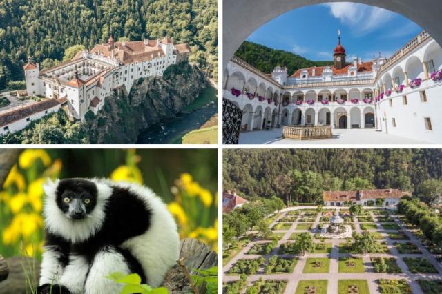 Romantický zámok Herberstein, jeho kvitnúce záhrady a ZOO