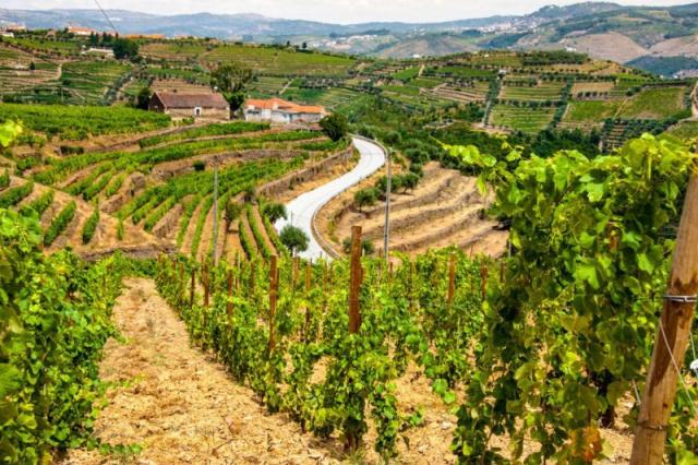 Očarujúce Porto, víno a malebné údolie rieky Douro