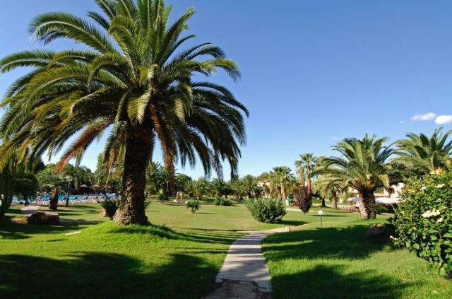 BAIA_DELLE_PALME_zahrada.jpg