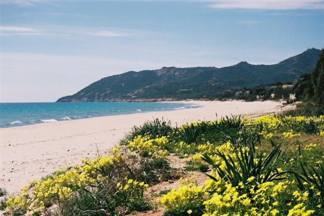 La Pineta 6.jpg.JPG