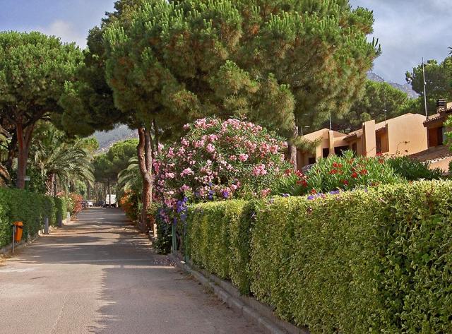 santa margherita1.jpg