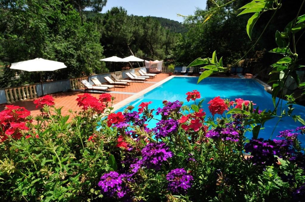 piscina-con-fiori1-1024x681.jpg