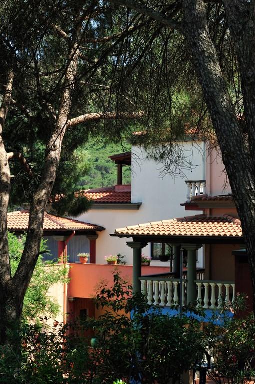 Terrazze-viste-dagli-alberi-e1459337421661.jpg