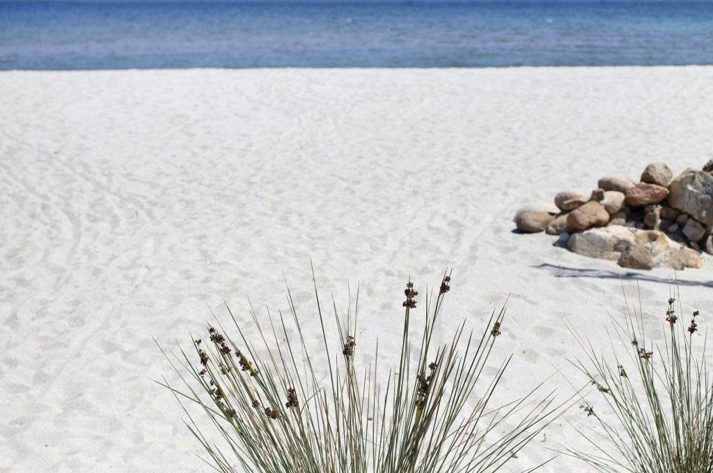 CHLS_beach_06-1024x680.jpg