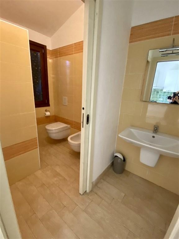 thumbnail_IMG_0553.jpg