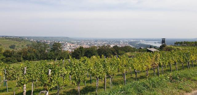 Zájazd do Rakúska: Melk, Krems a Tulln