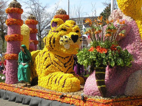 Zájazd do Holandska s návštevou korza Bloemen Corso