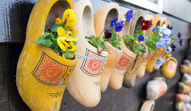 Zájazd do Holandska s návštevou korza Bloemen Corso