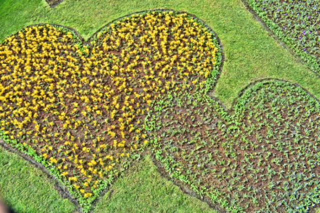 Zájazd do Holandska s návštevou korza Bloemen Corso