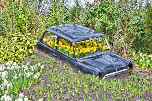 Zájazd do Holandska s návštevou korza Bloemen Corso